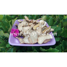 2015 Bueno Secado Boletus Edulis Price, Porcini Mushrooms for Sale